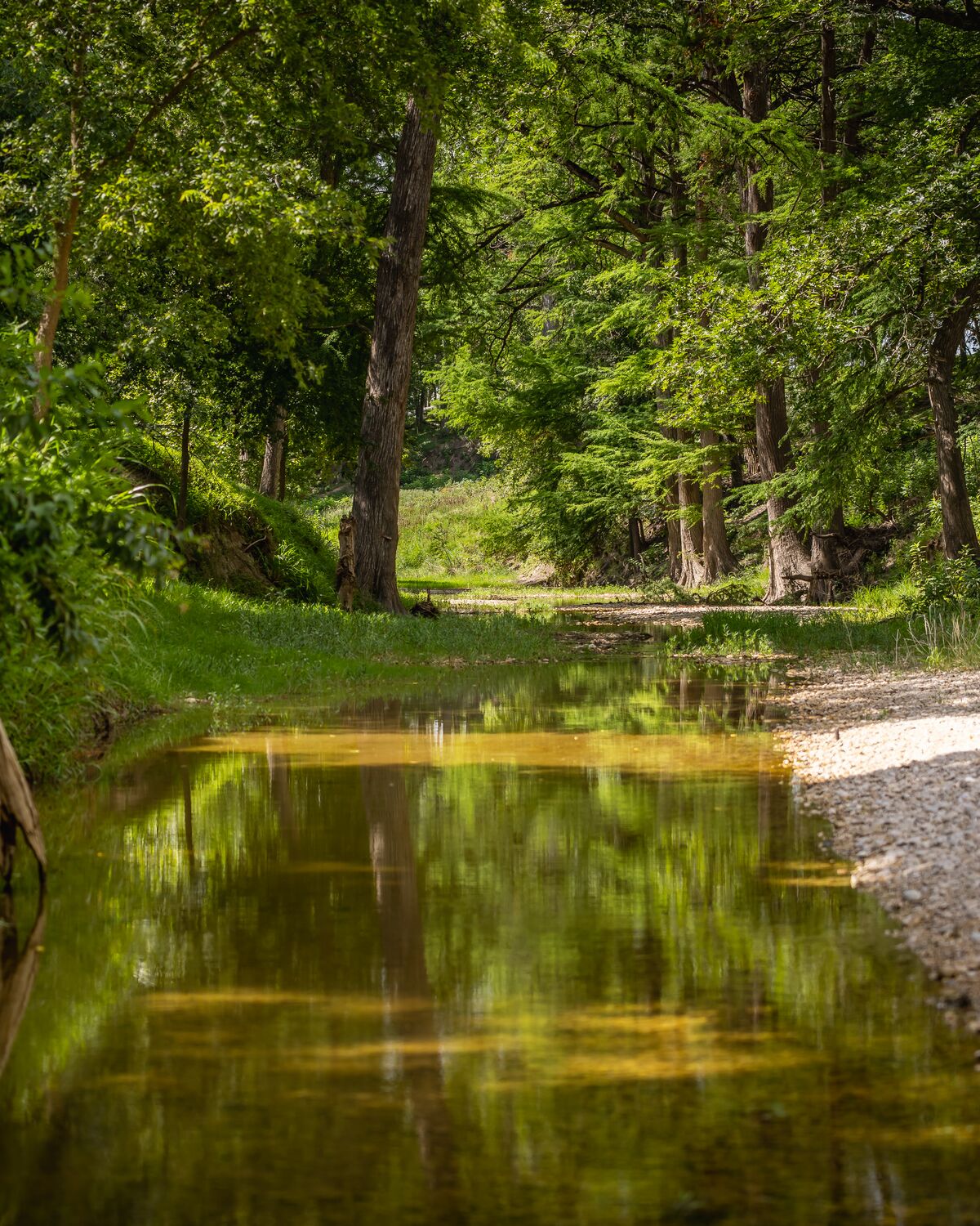 West Sister Creek moving through the property